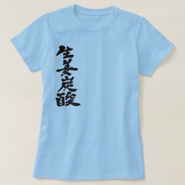 ginger ale calligraphy in Kanji ジンジャーエール 漢字 T-Shirts